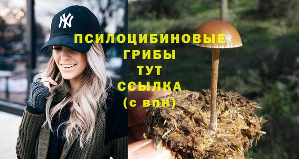 прущие грибы Белоозёрский