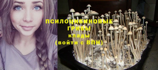 прущие грибы Белоозёрский