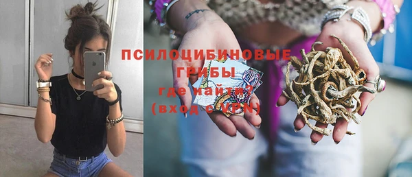 прущие грибы Белоозёрский