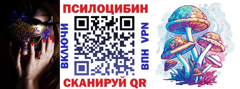 Купить  Великий Устюг  Галлюциногенные грибы Cubensis 